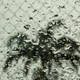 Illustration for article titled Shooting Challenge: Bokeh, Gallery 1